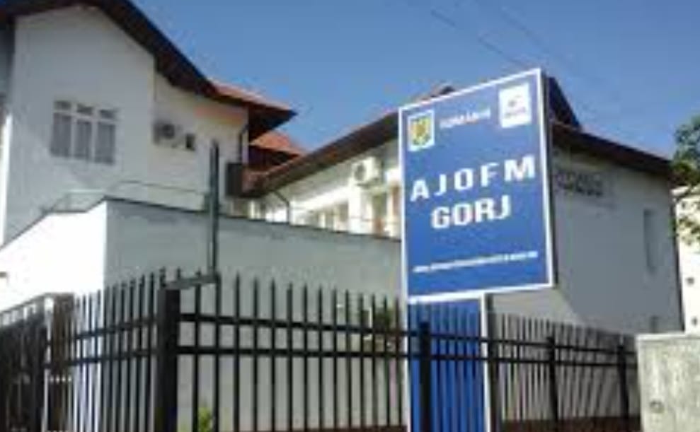 Ajofm gorj 2